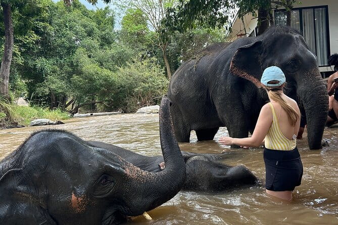 Chiang Mai Half Day Tour: Doi Inthanon Elephant Sanctuary - Key points before you book