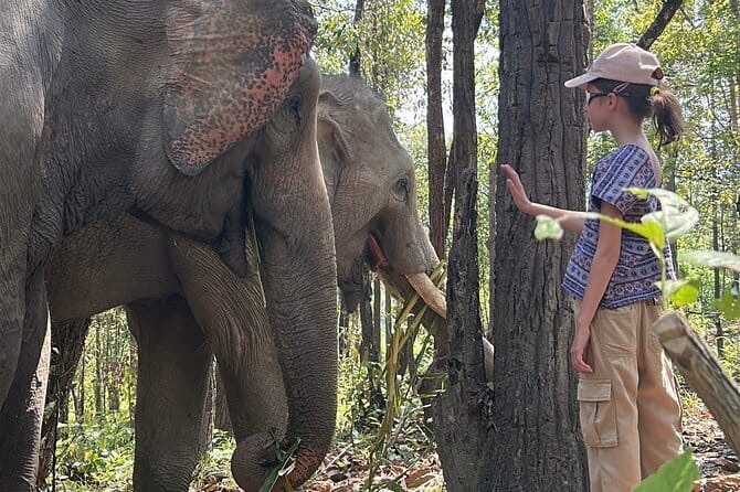 Chiang Mai Half Day Tour: Doi Inthanon Elephant Sanctuary - The early pickup and the road to Doi Inthanon