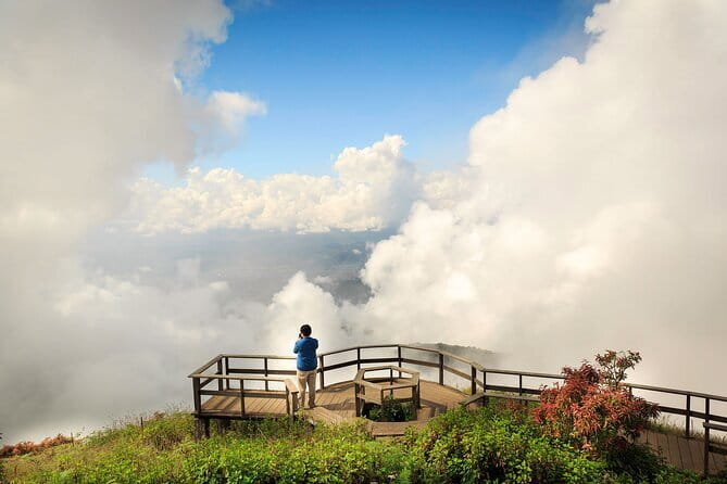 Chiang Mai Half Day Tour: Doi Inthanon Elephant Sanctuary - Group size, comfort, and what to bring