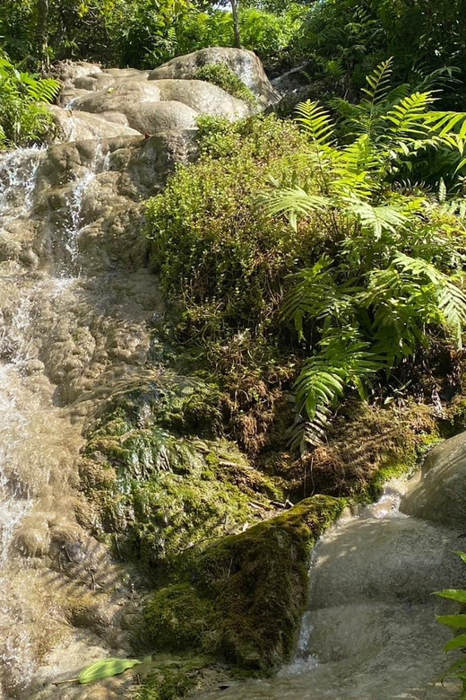 Chiang Mai Half Day Tour: Sticky Waterfall & Hotel Transfer - What the driver does, and what the driver does not do