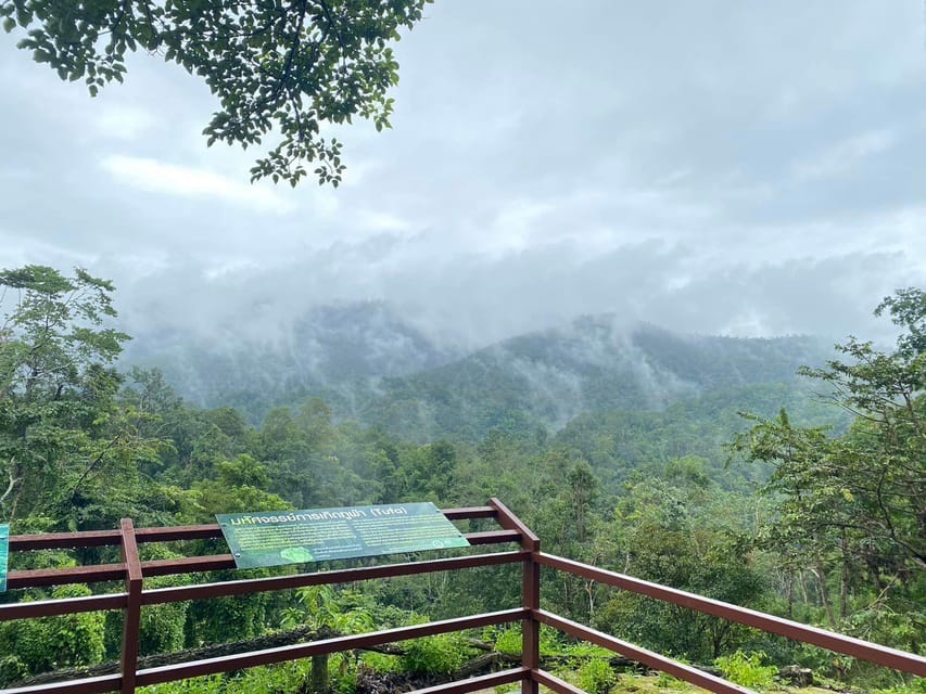 Chiang Mai Half Day Tour: Sticky Waterfall & Hotel Transfer - Is the $21 price good value?