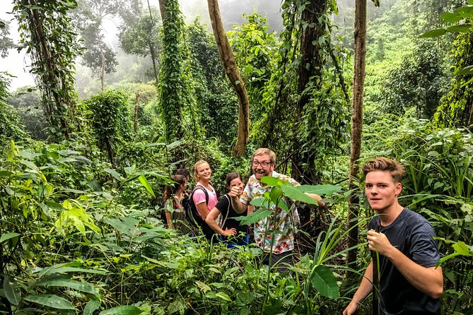 Chiang mai Hike & Downhill Bike Adventure –Suthep National Park - Weather, route changes, and the honest drawbacks