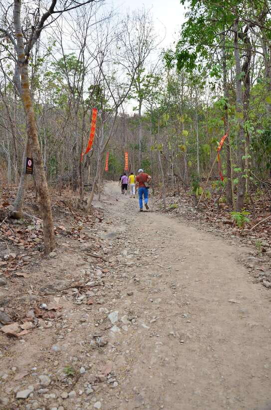 Chiang Mai: Hike on Monk’s Trail and Doi Suthep Private Tour - What the guide adds to the experience