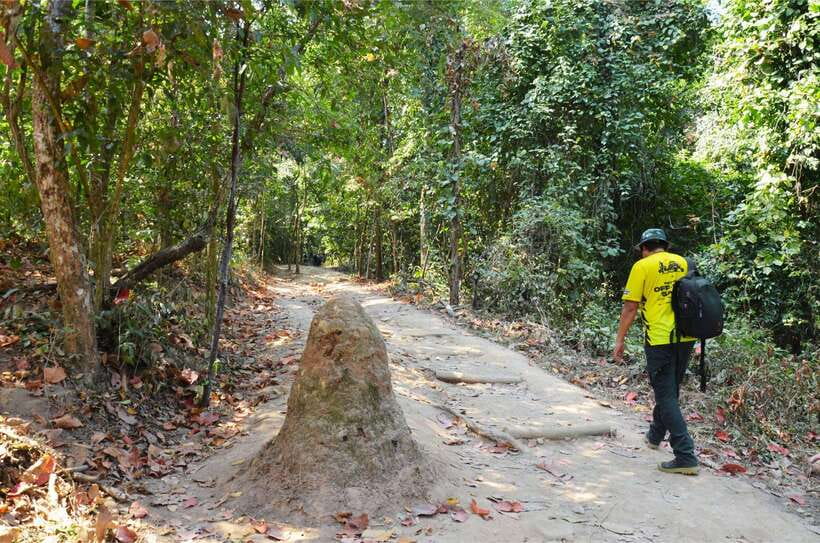 Chiang Mai: Hike on Monk’s Trail and Doi Suthep Private Tour - What to bring for the four-hour outing