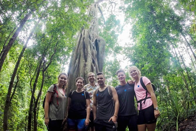 Chiang Mai: Inthanon, Elephant Sanctuary Observation & Waterfall - Doi Inthanon at 2,565 meters
