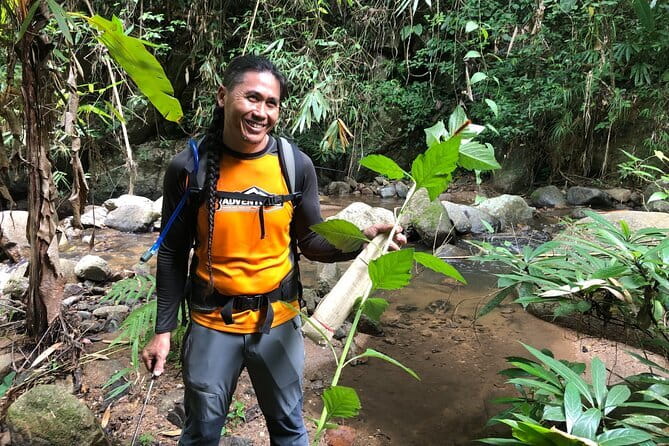 Chiang Mai: Inthanon, Elephant Sanctuary Observation & Waterfall - What the $81.12 price includes
