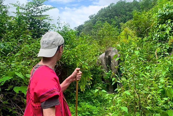 Chiang Mai: Inthanon, Elephant Sanctuary Observation & Waterfall - The 6:30 am pickup and the long road south