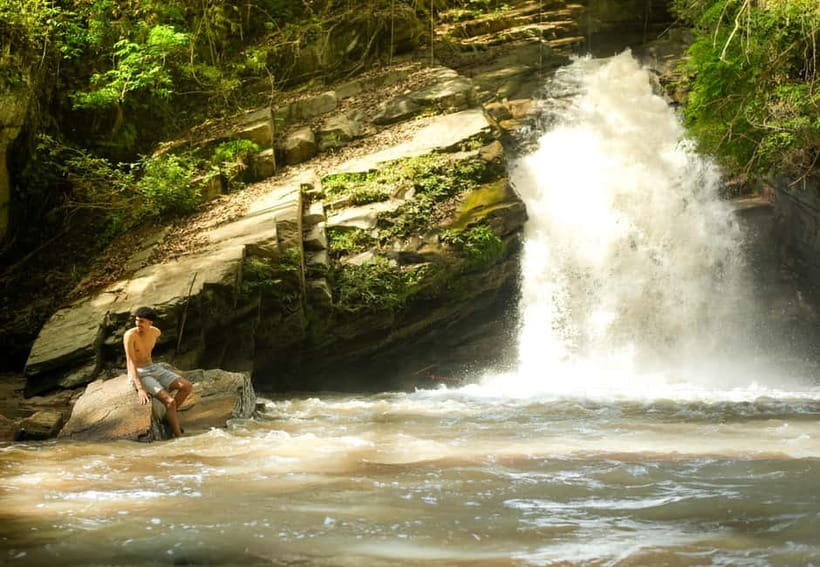 Chiang Mai: Jungle Jumbo Elephant Sanctuary with Waterfall - A six-hour escape from Chiang Mai