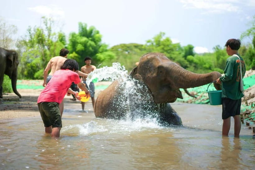 Chiang Mai: Jungle Jumbo Elephant Sanctuary with Waterfall - Walking through the jungle to the waterfall