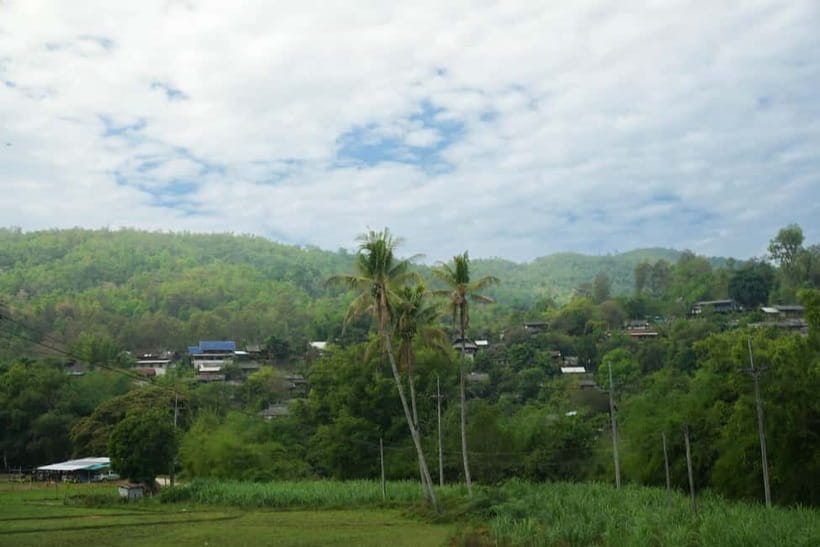 Chiang Mai: Jungle Jumbo Elephant Sanctuary with Waterfall - Pad Thai and the practical value of $45