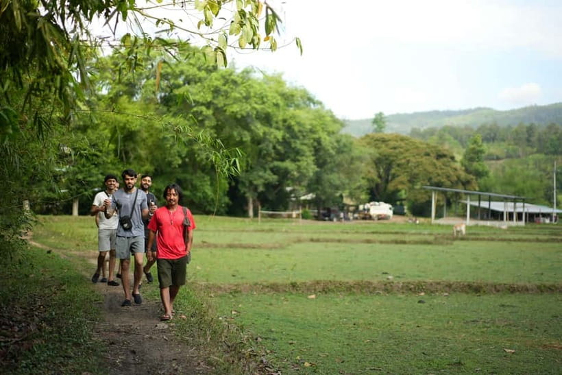Chiang Mai: Jungle Jumbo Elephant Sanctuary with Waterfall - A word about animal welfare