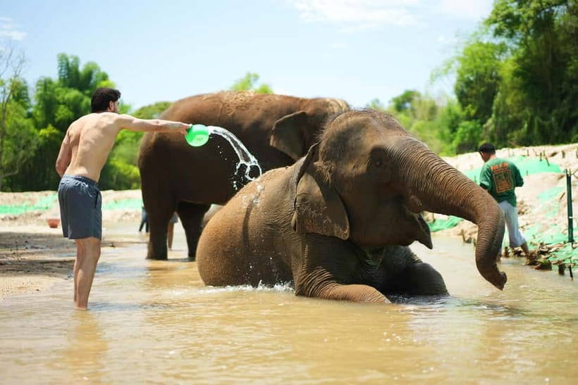 Chiang Mai: Jungle Jumbo Elephant Sanctuary with Waterfall - The village visit is short, but gives the day local context