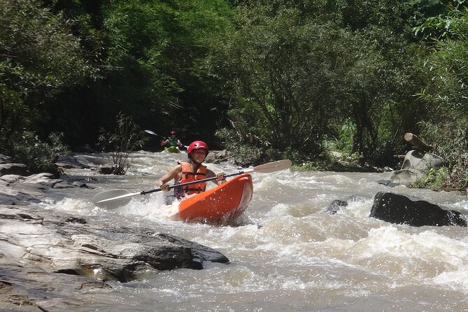 Chiang Mai: Jungle Kayak Adventure with Rapids & Elephants - Passing elephant camps along the water