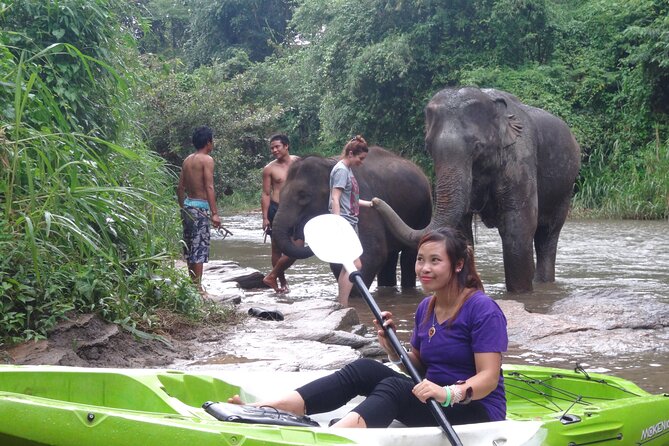Chiang Mai: Jungle Kayak Adventure with Rapids & Elephants - Lost Canyon and the advanced lower river