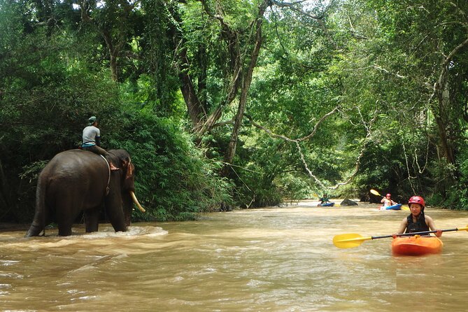 Chiang Mai: Jungle Kayak Adventure with Rapids & Elephants - Is $81.24 a fair price?