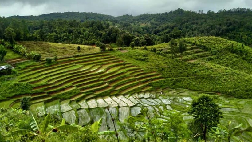 Chiang Mai: Jungle Trek, Elephants care & Bamboo Rafting - What to pack for a wet, active day