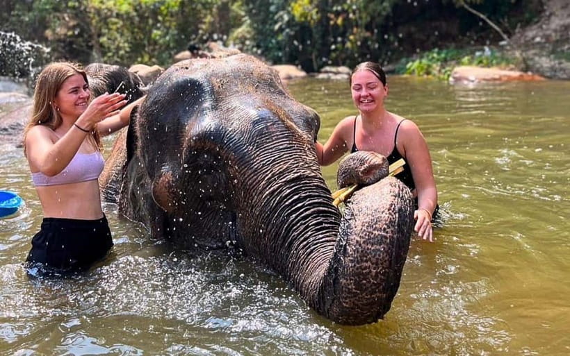 Chiang Mai: Jungle Trek, Elephants care & Bamboo Rafting - From Chiang Mai to the Mae Wang countryside