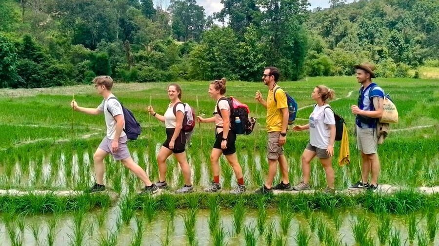 Chiang Mai: Jungle Trek, Elephants care & Bamboo Rafting - Waterfall lunch and the group decision to swim