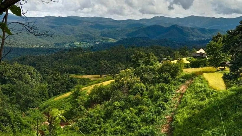 Chiang Mai: Jungle Trek, Elephants care & Bamboo Rafting - How the day handles transport and timing