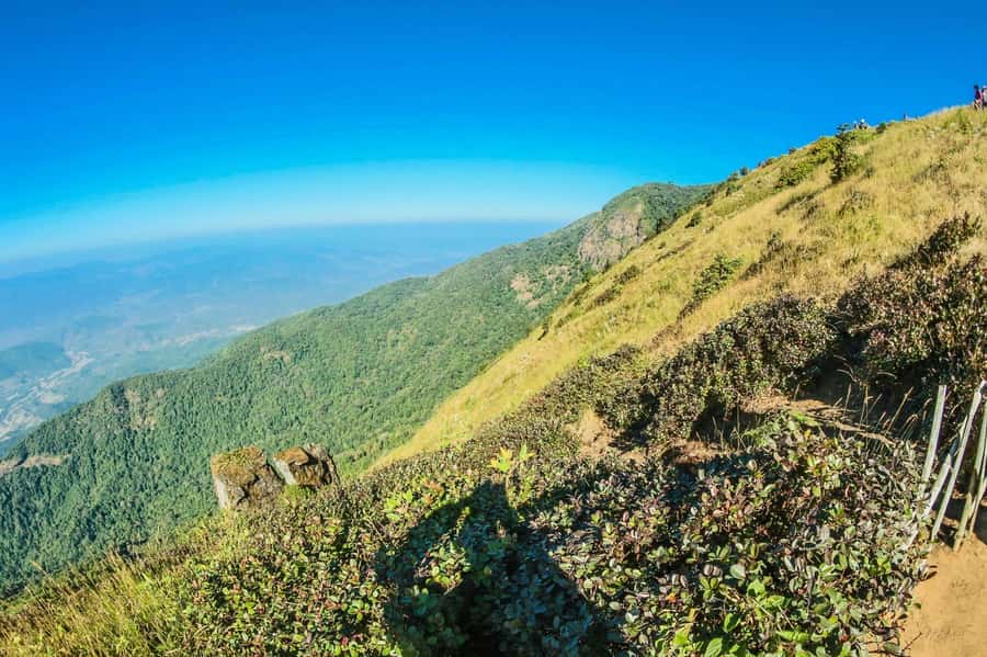 Chiang Mai: Kew Mae Pan Nature Trail & Doi Inthanon Day Trip - Is $54 a fair price?