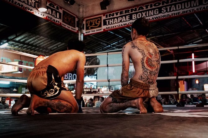 Chiang Mai Muay Thai Boxing Live at Thapae Stadium - Timing Tips for a Smoother Night