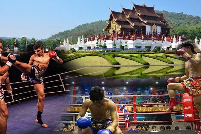 Chiang Mai Muay Thai Boxing Live at Thapae Stadium - Understanding the Muay Thai Program