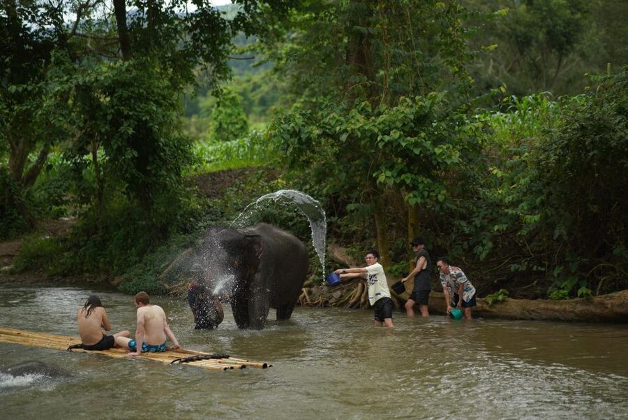 Chiang Mai: National Elephant Care, Rafting, & Ziplines Trip - Key points at a glance