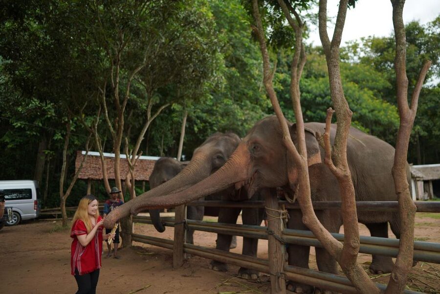 Chiang Mai: National Elephant Care, Rafting, & Ziplines Trip - Choosing the Mae Wang zipline course