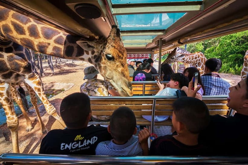 Chiang Mai Night Safari: Entry Ticket with Tram Ride - Key Points Before You Go