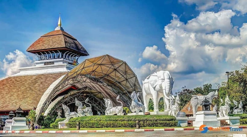Chiang Mai Night Safari: Entry Ticket with Tram Ride - What the Chiang Mai Night Safari Actually Includes
