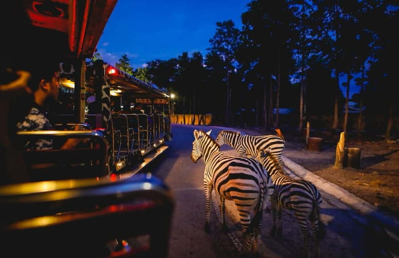 Chiang Mai Night Safari Ticket & Tram Rides Optional Pickup - Key points to know before you go