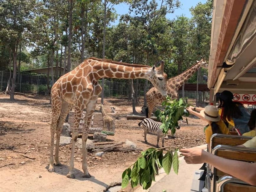 Chiang Mai Night Safari Ticket & Tram Rides Optional Pickup - Take the walking trails at your own pace