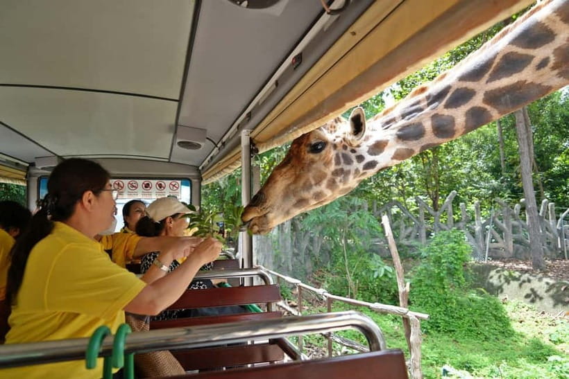 Chiang Mai Night Safari Ticket & Tram Rides Optional Pickup - What the independent format means for you