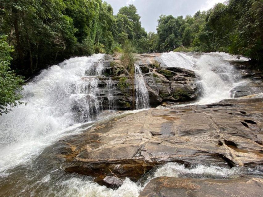 Chiang Mai: Pha Dok Siew Nature Trail & Doi Inthanon Trip - From Chiang Mai Hotels to the Roof of Thailand