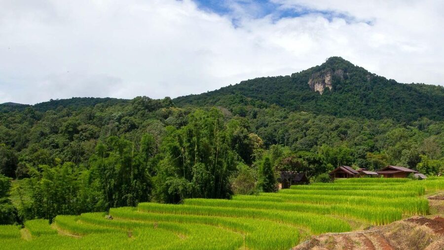 Chiang Mai: Pha Dok Siew Nature Trail & Doi Inthanon Trip - The Real Value of the $43 Price