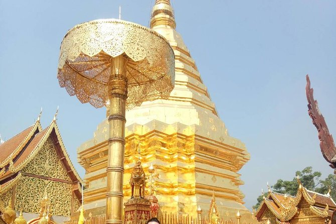 Chiang Mai Private Tour with Tea Plantation, Karen Village, Doi Suthep - Meeting The Karen Community