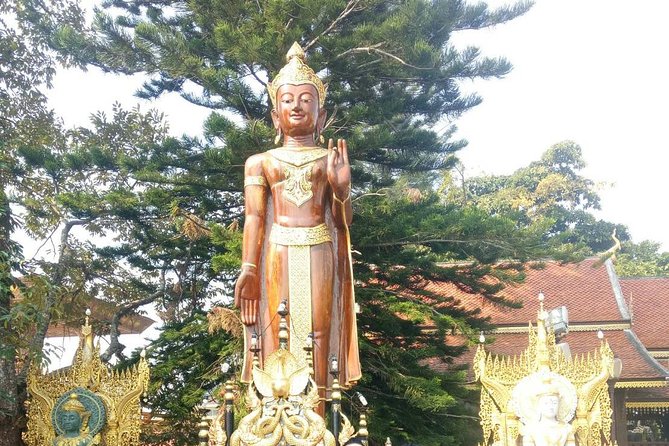 Chiang Mai Private Tour with Tea Plantation, Karen Village, Doi Suthep - Orchids, Butterflies, And A Better-Than-Expected Lunch