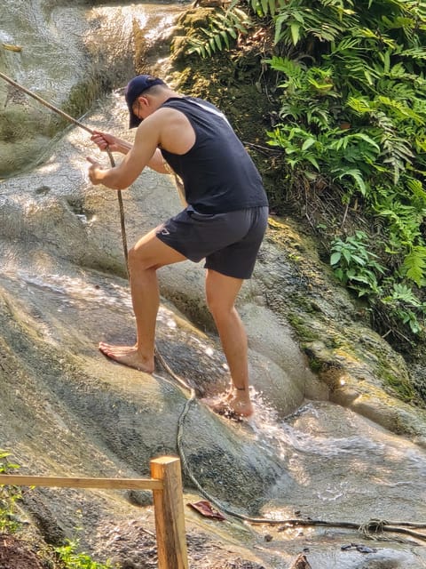 Chiang Mai:Sticky Watefall private tour with lunch - Why Bua Tong Waterfalls is different