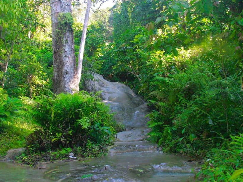Chiang Mai: Sticky Waterfall by Local Truck with Market Stop - The seven-colors spring and the forest setting