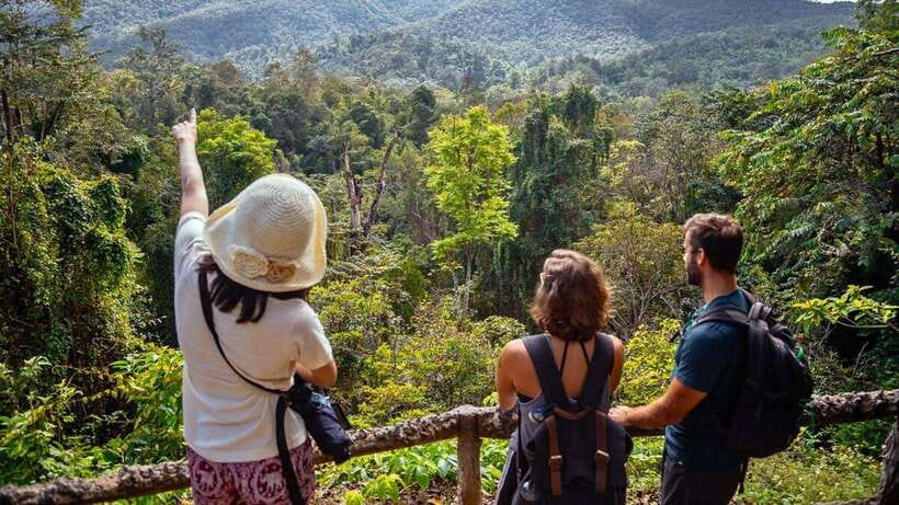 Chiang Mai: Sticky Waterfall, Chet Si Fountain Park Transfer - Two hours at Bua Thong Waterfall