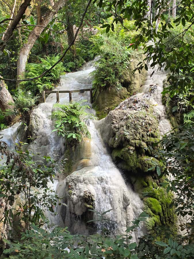 Chiang Mai : Sticky waterfall (Half Day Tour) Hotel Transfer - Practical booking advice