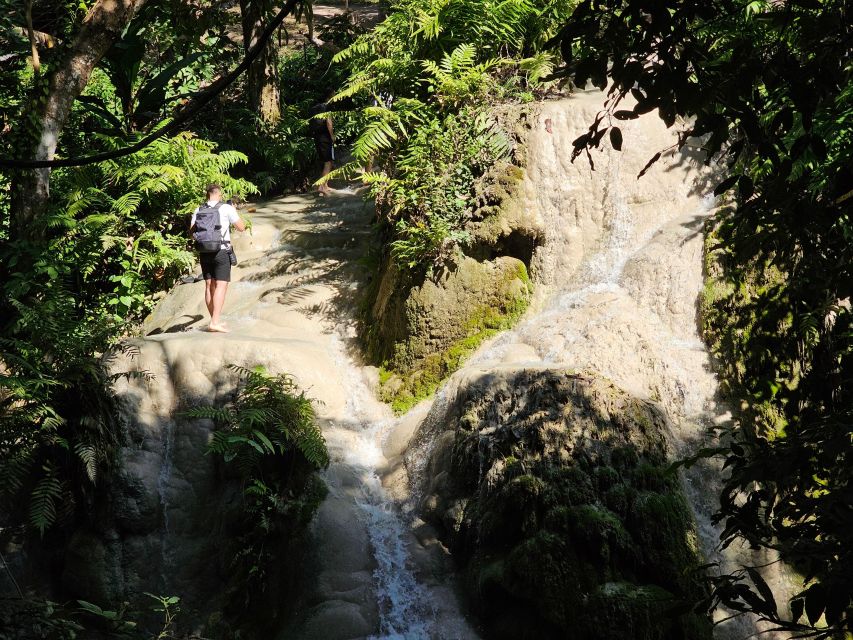 Chiang Mai: Sticky Waterfall Half-Day Tour & Hotel Transfers - Why Bua Thong Waterfall Feels Different