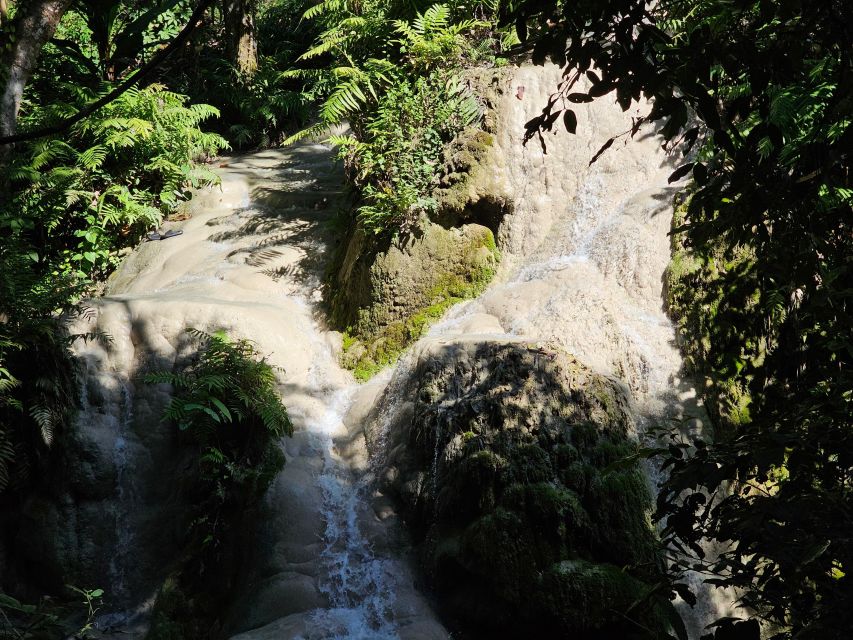 Chiang Mai: Sticky Waterfall Half-Day Tour & Hotel Transfers - The Four-Hour Plan From Chiang Mai
