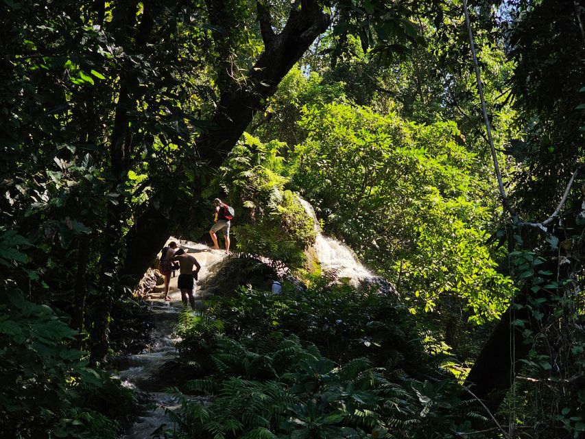Chiang Mai: Sticky Waterfall Half-Day Tour & Hotel Transfers - Climbing the Sticky Limestone