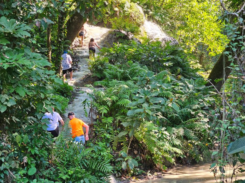 Chiang Mai: Sticky Waterfall Half-Day Tour & Hotel Transfers - Why the Morning Departure Is the Smart Choice