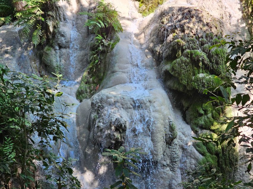 Chiang Mai: Sticky Waterfall Half-Day Tour & Hotel Transfers - Transport, Drivers, and Pickup Details