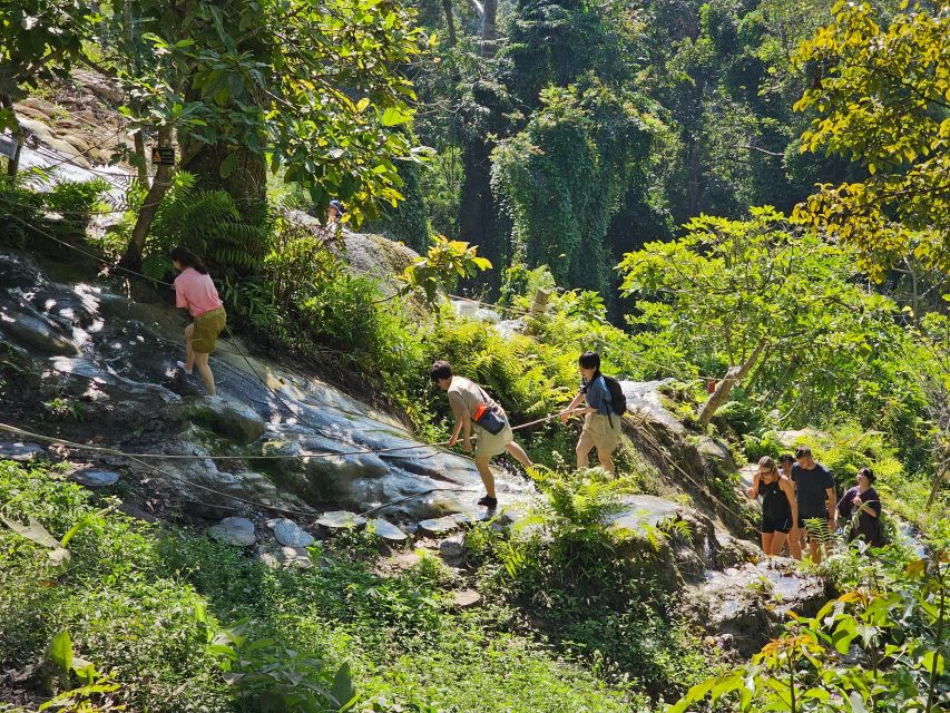 Chiang Mai: Sticky Waterfall Half-Day Tour & Hotel Transfers - Is $30 a Fair Price?