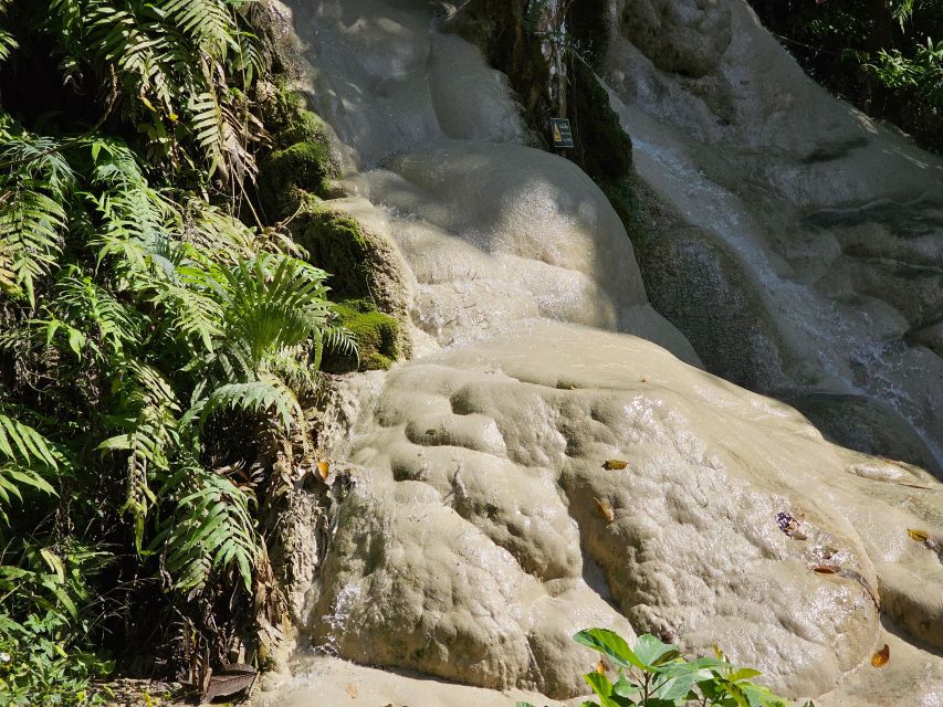 Chiang Mai: Sticky Waterfall Half-Day Tour & Hotel Transfers - Who Will Enjoy This Half-Day Trip?