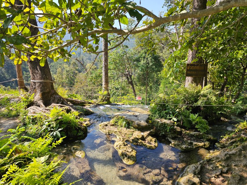 Chiang Mai: Sticky Waterfall Half-Day Tour & Hotel Transfers - Getting to the Falls in Si Lanna National Park