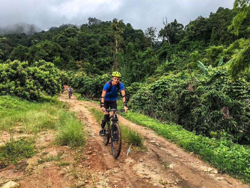 Chiang Mai: Suthep National Park Hiking & DH Mountain Biking - What the $62 price buys you